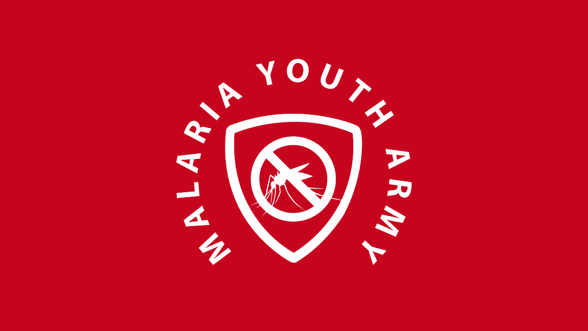 ALMA youth army develops capacity to advance the malaria elimination